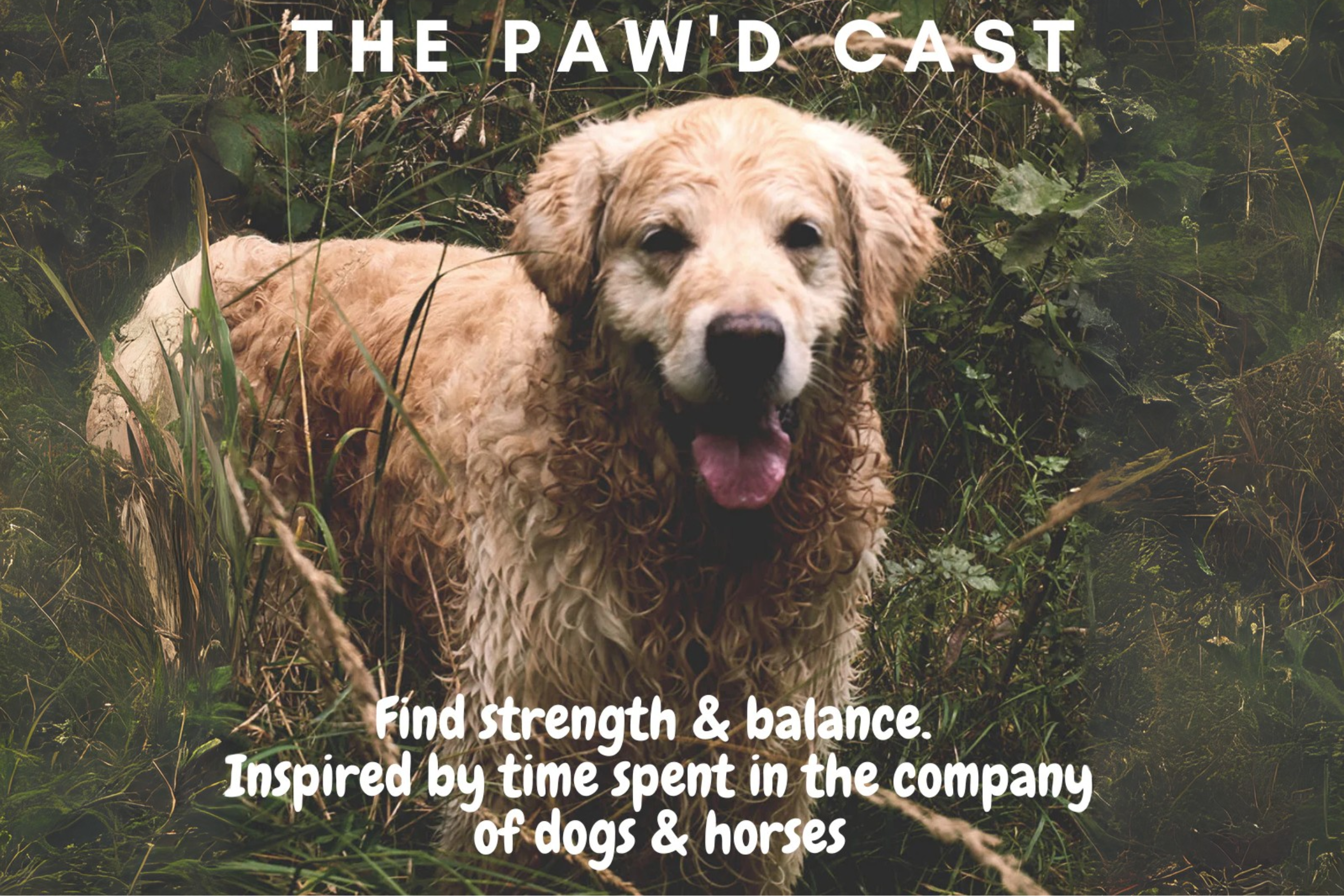 The Paw'd Cast - To flick or not to flick?