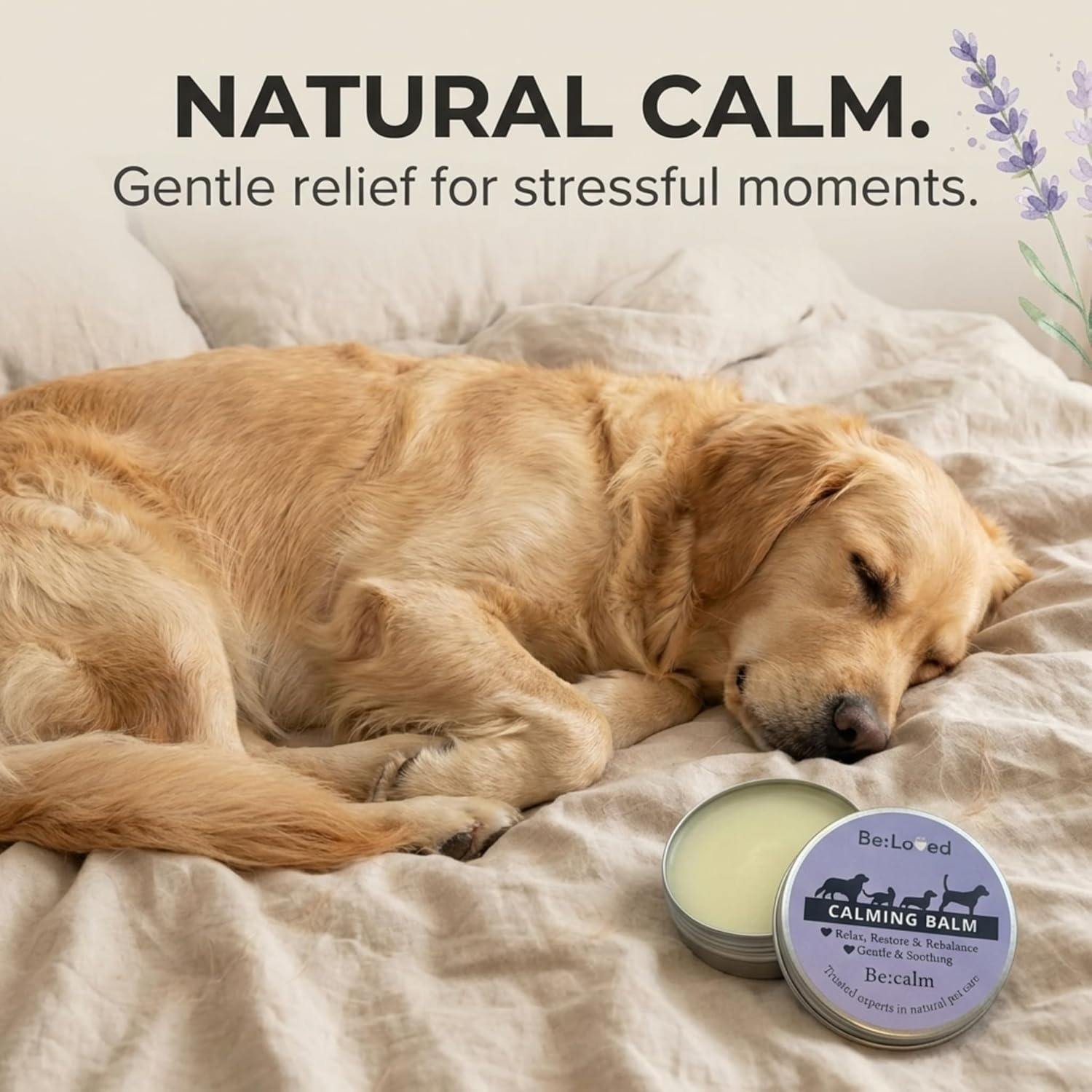 Be:Calm — Natural Calming Balm, Stress Support & Anxiety Relief for Dogs & Cats