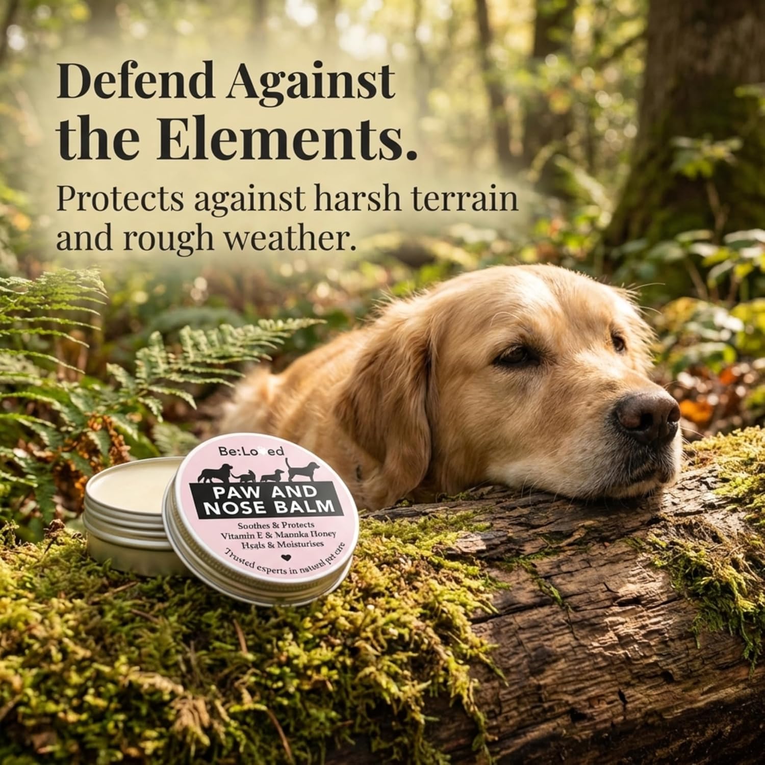 Be:Soft – Natural Dog Nose Balm & Dog Paw Balm - Moisturising & Soothing for cracked paws and noses