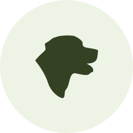 A dog head silhouette with a pale green circle outline.