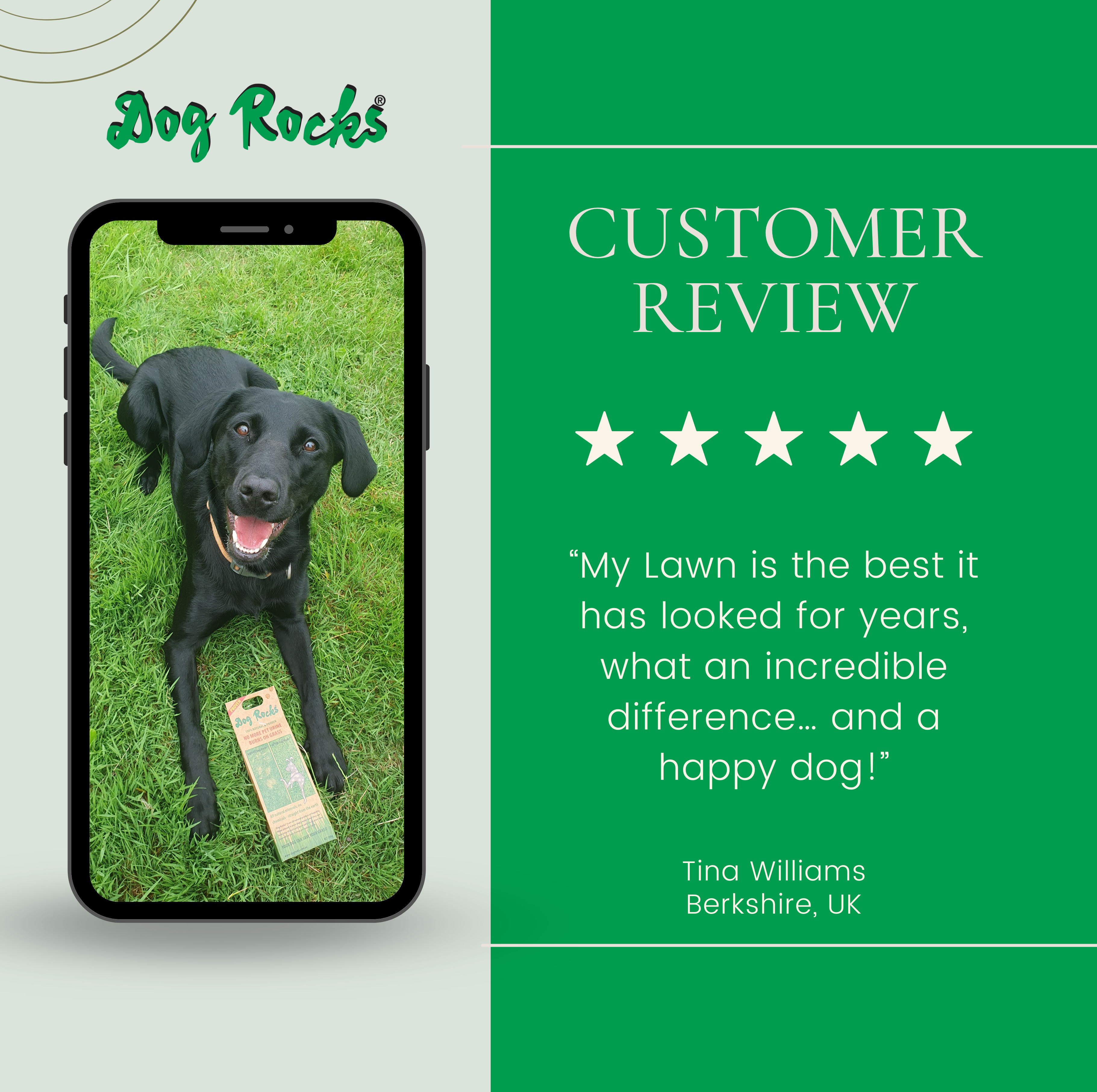 Dog Rocks - 6 months supply of Dog Rocks - 1.2lb of Dog Rocks