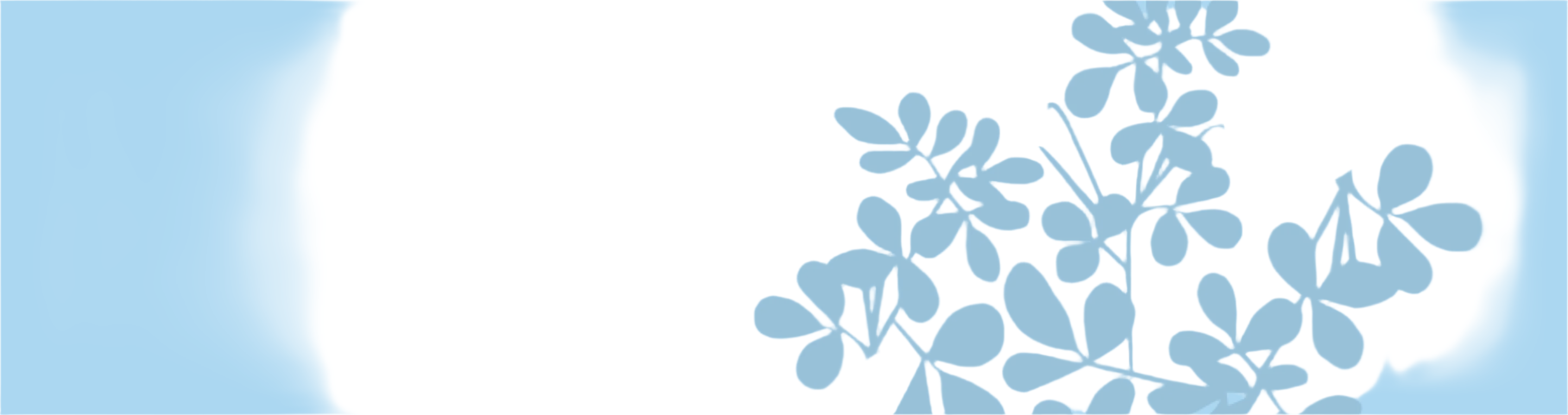 Dark grey flowers on a light blue background.