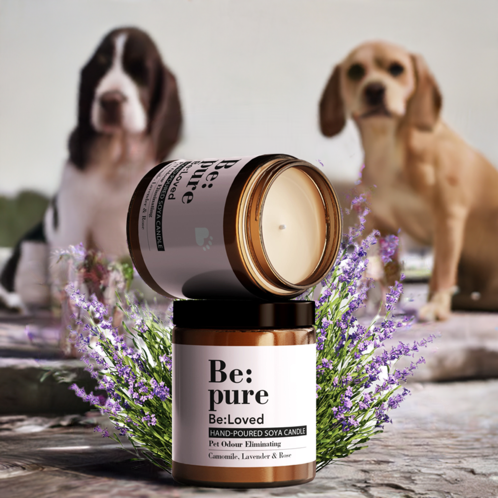 The Be:Loved Puppy Starter Pack - Gift-able bundles of puppy joy!