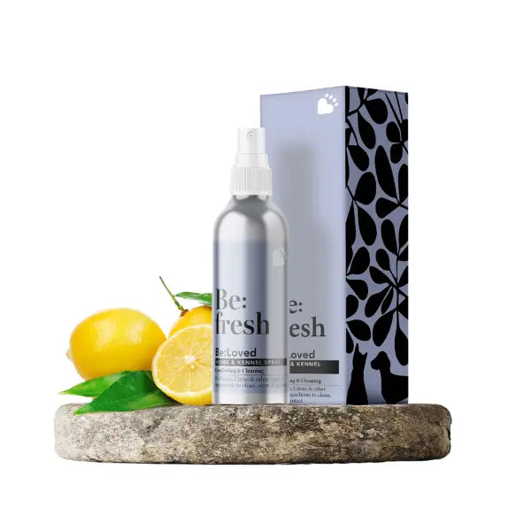 Be:Fresh Dog Kennel & Bedding Spray – Natural & Prebiotic
