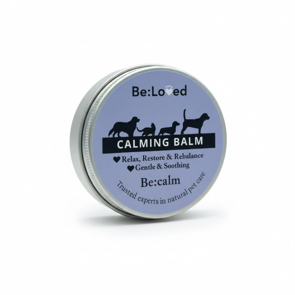 Be:Calm — Natural Calming Balm, Stress Support for Dogs & Cats