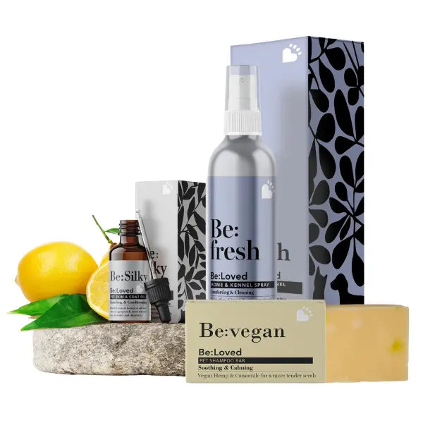 The Be:Vegan Gift Bundle