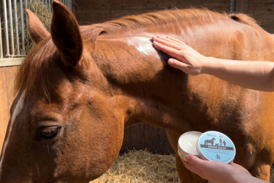 Why does my horse keep getting skin sores?