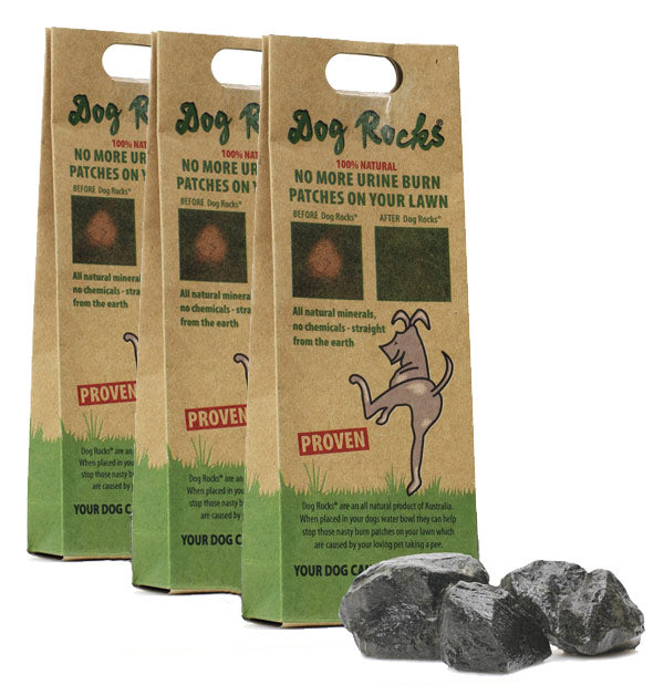 Dog Rocks - 6 months supply of Dog Rocks - 1.2lb of Dog Rocks (3 x 200g Dog Rocks Packs)