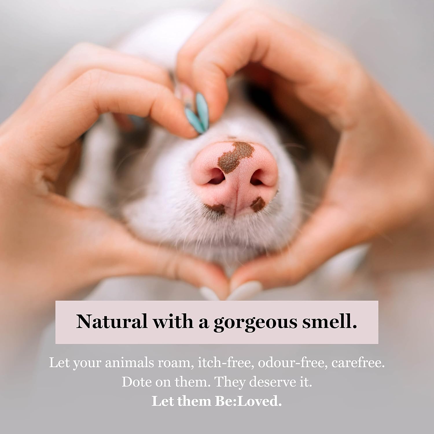Be:Vegan – Hemp Natural Dog Shampoo Bar