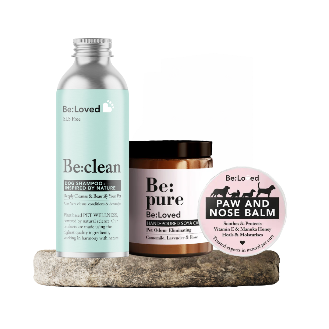 The Be:Loved Autumn Bundle - To Bring Autumnal Cheer