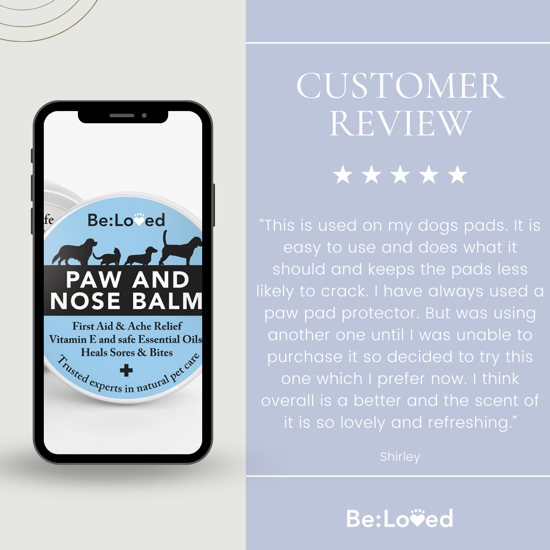 Be:Safe – First Aid Dog Nose & Dog Paw Balm