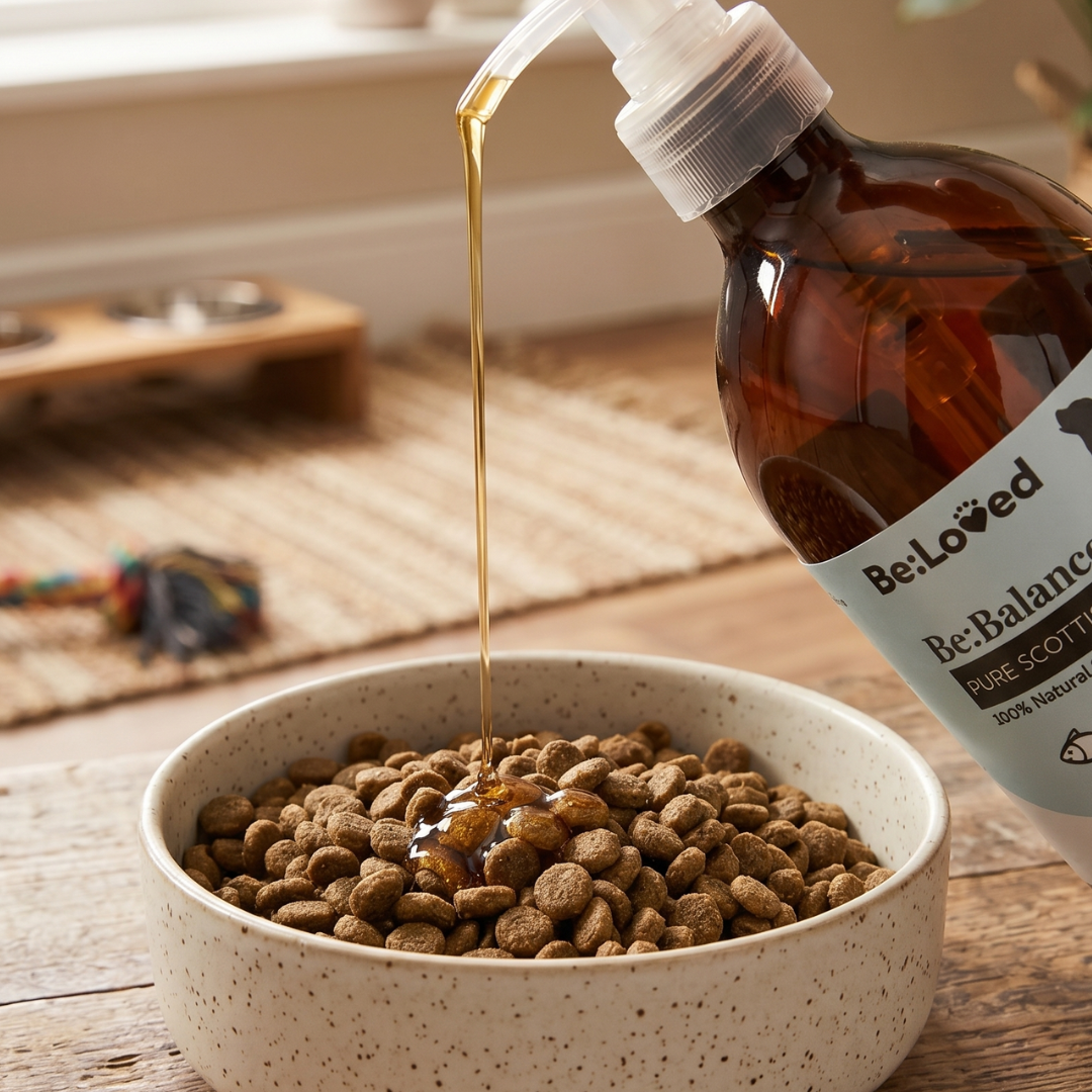 Be:Balanced - 100% Scottish Salmon Oil — Easy Pump | Skin, Coat & Joint Support