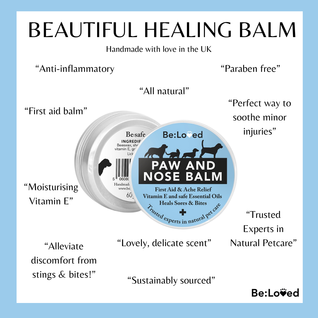 Be:Safe – First Aid Dog Nose & Dog Paw Balm