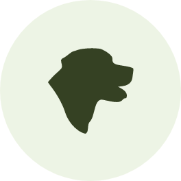 A dog head silhouette with a pale green circle outline. 
