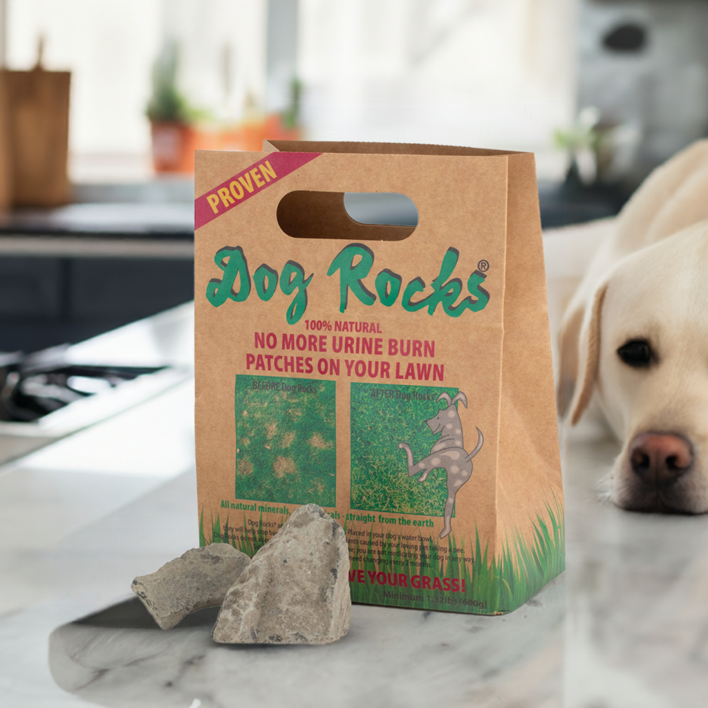 Dog Rocks - 6 months supply of Dog Rocks - 1.2lb of Dog Rocks (3 x 200g Dog Rocks Packs)