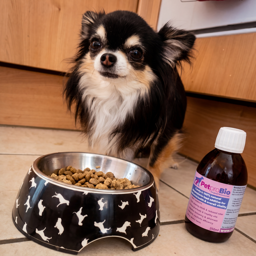 PetproBio - 250ml, Natural Prebiotic for your pet's overall health & wellbeing