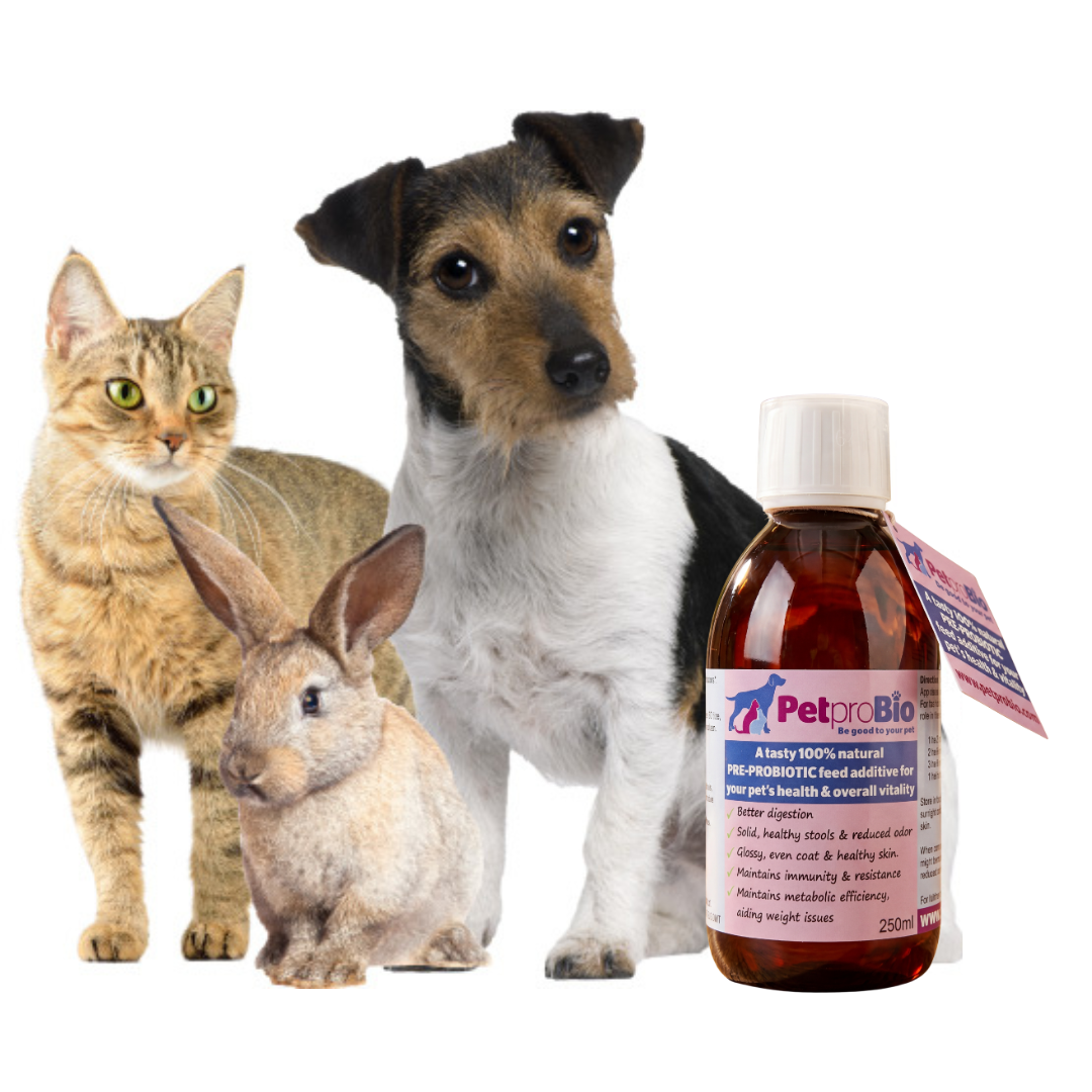 PetproBio - 250ml, Natural Prebiotic for your pet's overall health & wellbeing