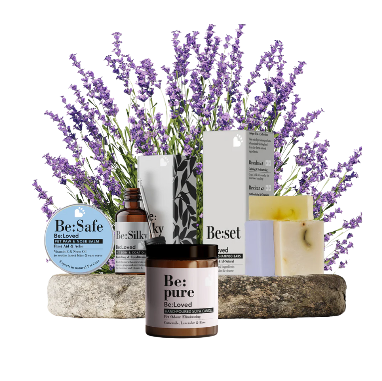 The Be:Loved Original Gift-able Bundle for Pets & Their People