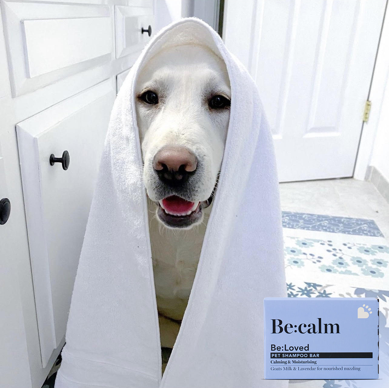 A dog with a towel over its head and the Be:calm shampoo bar product on display.