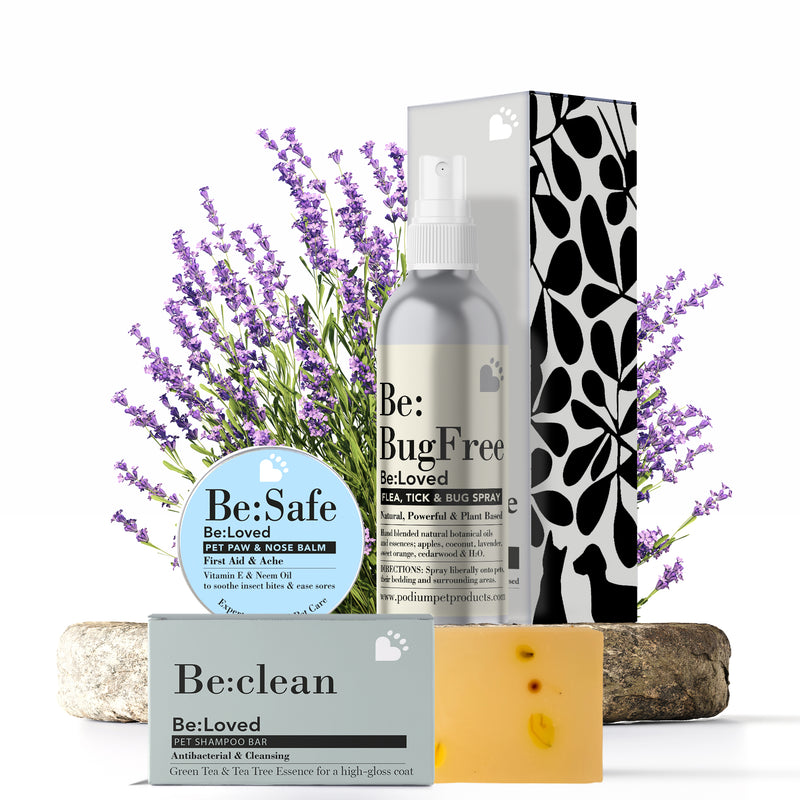 Be:adventurous gift bundle including 3 products with lavender in the background.