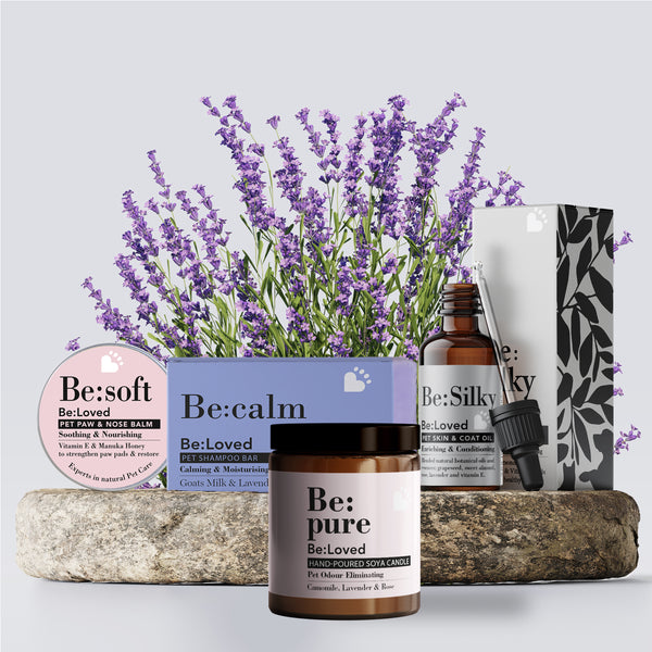 Be:calm bundle product images, including 4 products and a background of lavender.