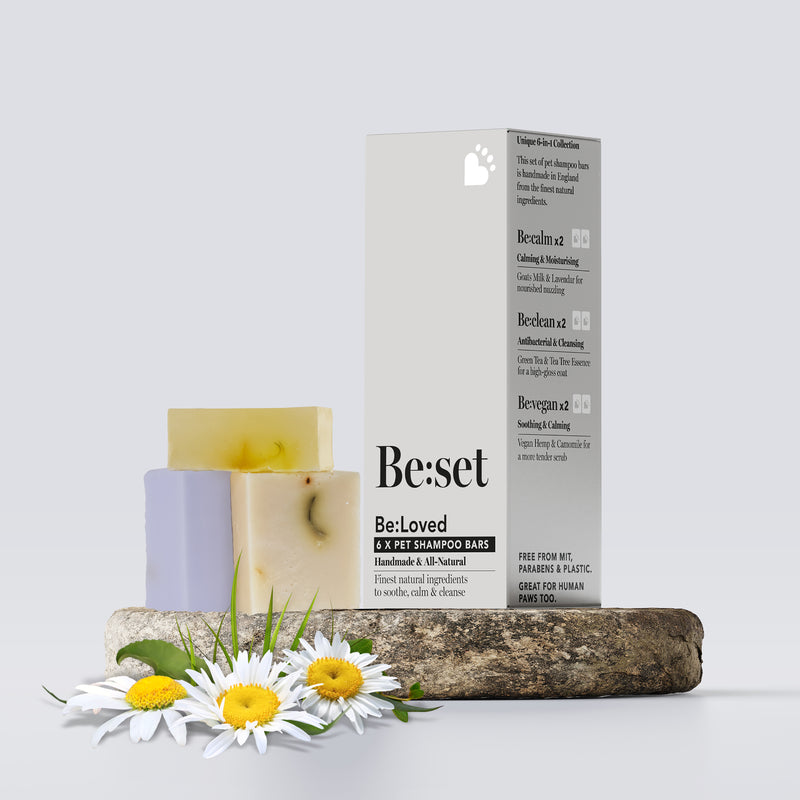 Be:set shampoo bar collection with products, packaging and daisy's on a wooden tray.
